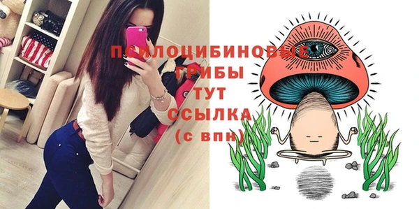 тгк Балахна
