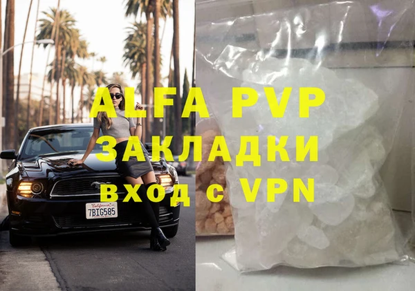 индика Аркадак
