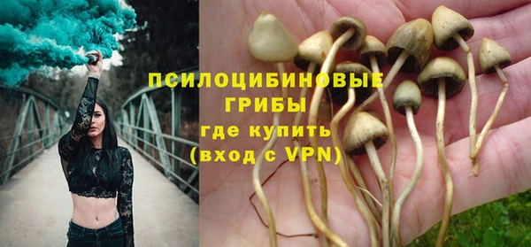 индика Аркадак